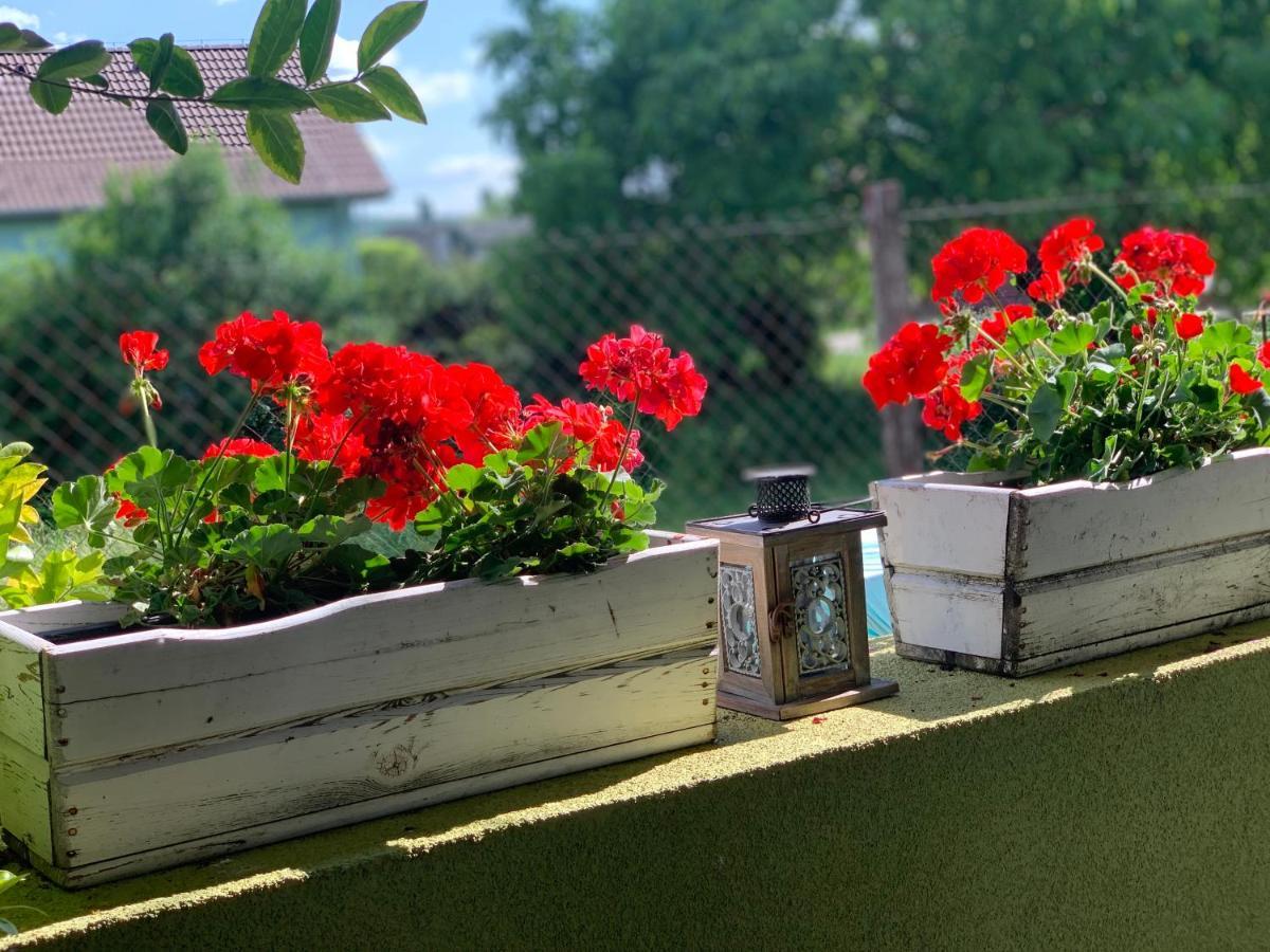 Apartmany Zeleny Dom Podhájska Zewnętrze zdjęcie